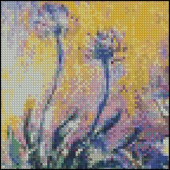 (image for) Agapanthus 4x4