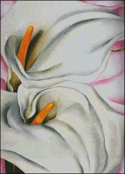 (image for) Two Calla Lilies on Pink