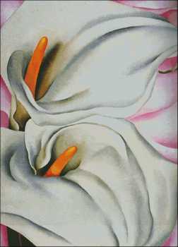 (image for) Two Calla Lilies on Pink Poster