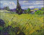 (image for) Green Wheat Field with Cypress